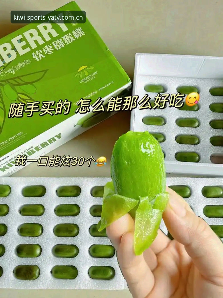 体育平台选择实用指南：奇异果体育官网功能深度解析与使用技巧